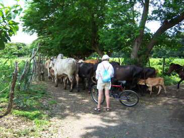 thumb_nic_granada-ometepe_050.jpg