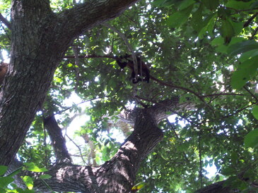 thumb_nic_granada-ometepe_056.jpg