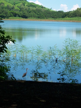 thumb_nic_granada-ometepe_058.jpg