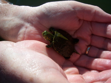 thumb_nic_granada-ometepe_059.jpg
