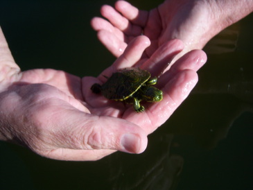 thumb_nic_granada-ometepe_061.jpg
