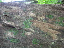 thumb_07costa_rica_017.jpg