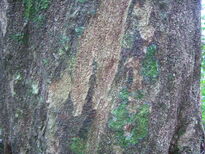 thumb_07costa_rica_023.jpg