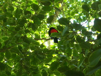 thumb_07costa_rica_027.jpg