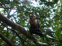 thumb_07costa_rica_028.jpg