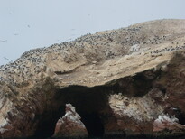 thumb_07costa_rica_040.jpg
