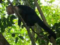 thumb_07costa_rica_046.jpg