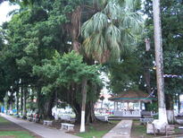 thumb_07costa_rica_080.jpg