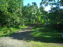 thumb_07costa_rica_091.jpg