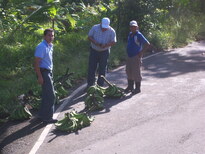 thumb_07costa_rica_092.jpg