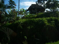thumb_07costa_rica_101.jpg