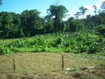 thumb_07costa_rica_104.jpg