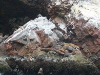 thumb_07costa_rica_109.jpg