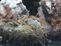 thumb_07costa_rica_110.jpg