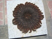 thumb_07costa_rica_111.jpg