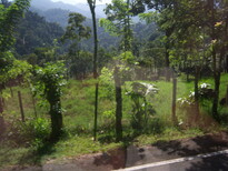 thumb_07costa_rica_116.jpg