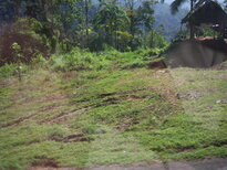 thumb_07costa_rica_117.jpg