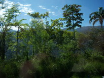 thumb_07costa_rica_119.jpg