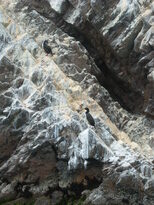 thumb_07costa_rica_123.jpg