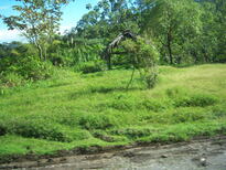 thumb_07costa_rica_127.jpg