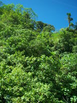 thumb_07costa_rica_132.jpg