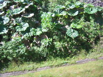 thumb_07costa_rica_133.jpg