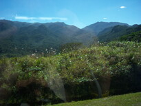 thumb_07costa_rica_140.jpg