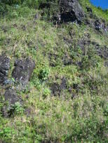 thumb_07costa_rica_142.jpg