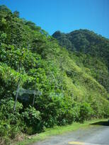 thumb_07costa_rica_143.jpg