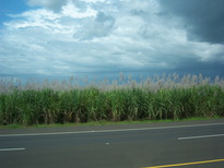 thumb_07costa_rica_153.jpg