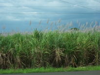 thumb_07costa_rica_154.jpg