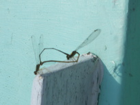 thumb_07costa_rica_755.jpg