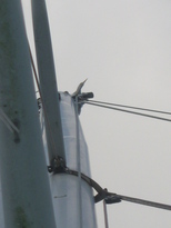 thumb_07costa_rica_777.jpg