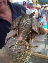 thumb_07costa_rica_819.jpg