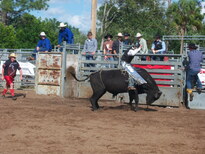 thumb_07costa_rica_829.jpg