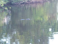 thumb_07costa_rica_836.jpg