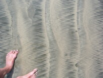thumb_07nic_010.jpg