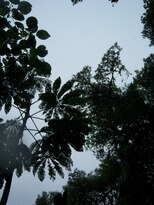 thumb_07nic_061.jpg