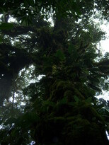 thumb_07nic_063.jpg