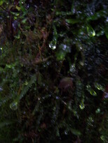 thumb_07nic_068.jpg