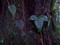 thumb_07nic_069.jpg