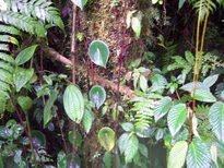 thumb_07nic_077.jpg