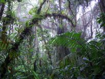 thumb_07nic_080.jpg