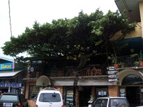 thumb_07nic_083.jpg