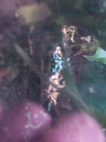 thumb_07nic_084.jpg