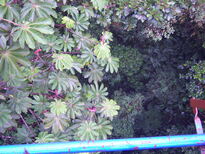 thumb_07nic_094.jpg