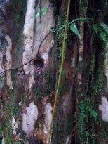 thumb_07nic_097.jpg