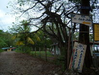 thumb_07nic_102.jpg