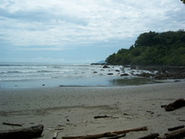 thumb_07nic_106.jpg