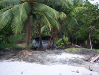 thumb_07nic_114.jpg